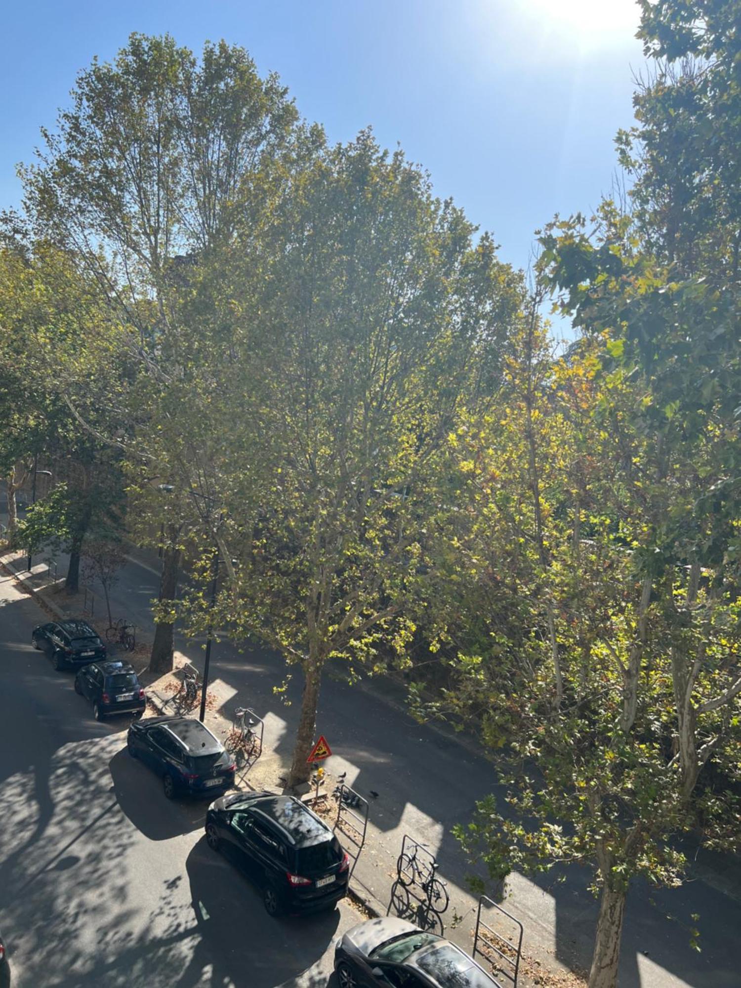 Santa Rosa Florence Apartments 3 Bedrooms - Private Parking Екстер'єр фото